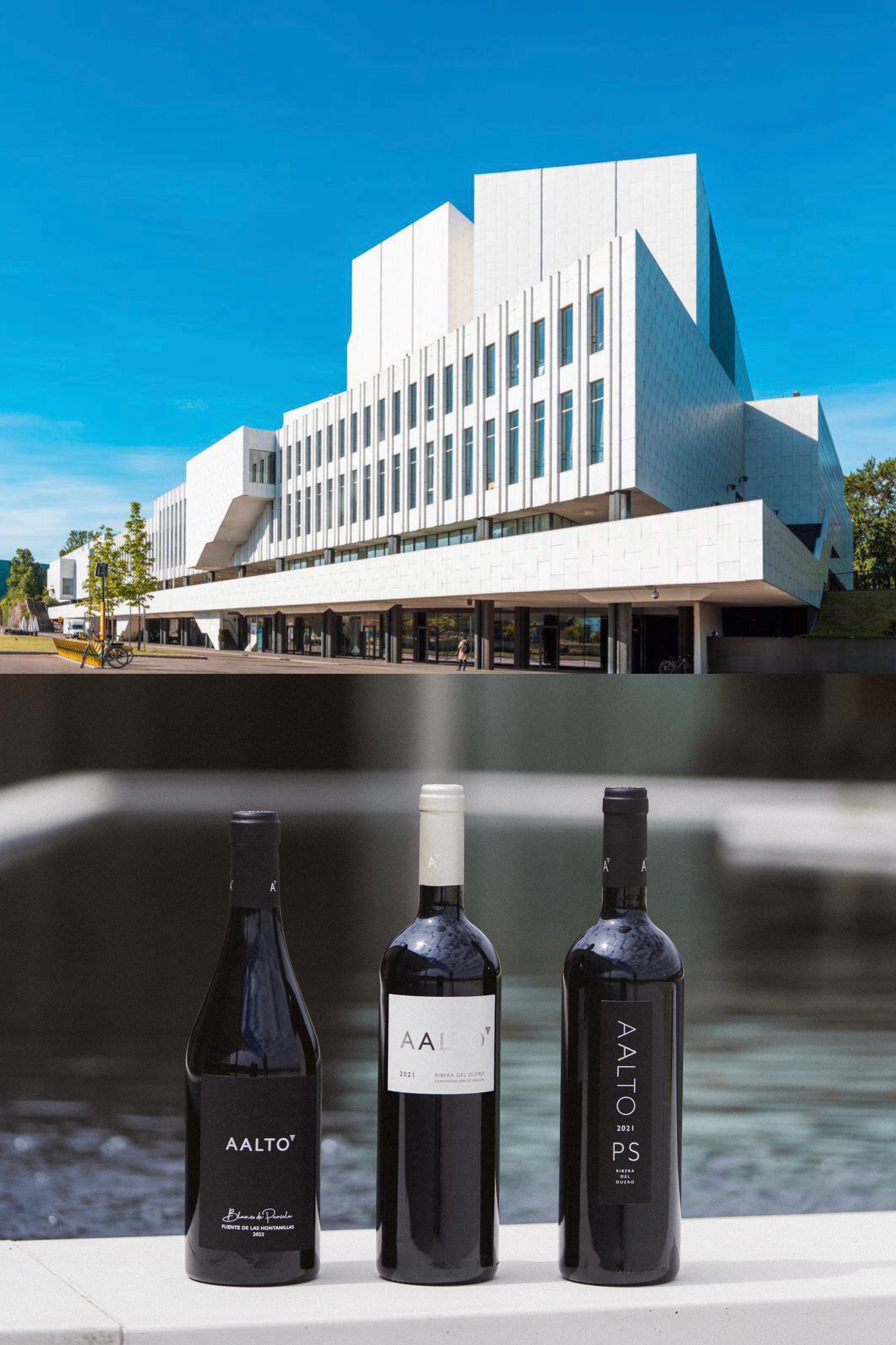 diseño etiqueta vino bodegas aalto